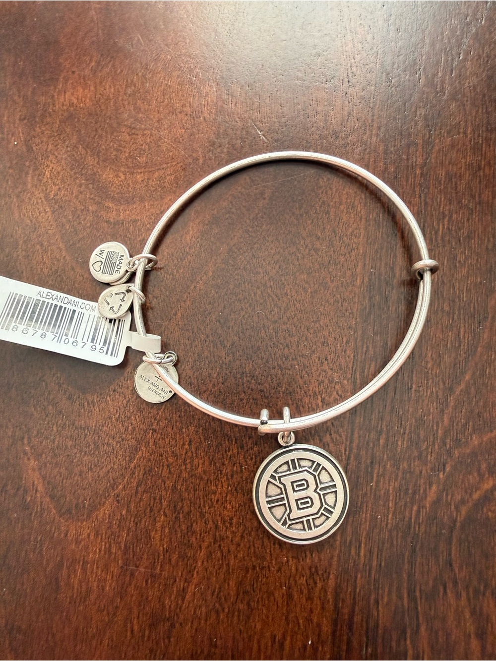 Alex and Ani Boston Bruins Rafaelian Silver Finish Hub Logo Charm Bracelet NWT
